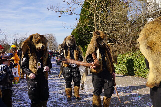 Bild 25: Küssaberger Narrentreffen 2025: Rheinheim feiert Fasnacht