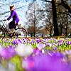 Die ersten Frühblüher läuten den Frühling und die Osterfeiertage ein. Hier sind die besten Aktivitäten für Ihren Osterspaß mit der ...