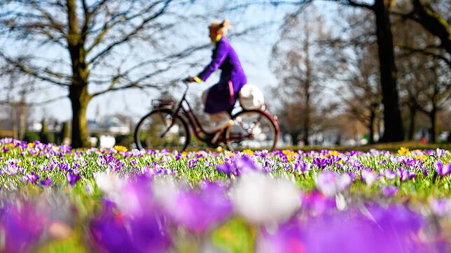 Die ersten Frühblüher läuten den Frühling und die Osterfeiertage ein. Hier sind die besten Aktivitäten für Ihren Osterspaß mit der ...