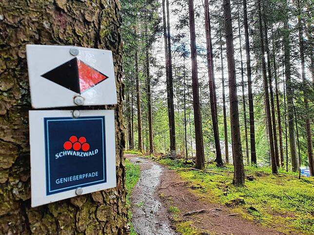 Die Luft ist gut, das Rauschen der Bäume im Wind idyllisch. Nur der Weg könnte deutlich besser sein.