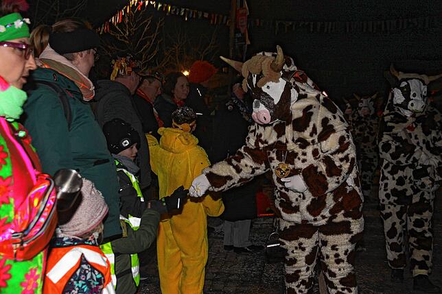 Bild 29: 41 Jahre Heuliecher aus Heudorf: Jubiläum mit Nachtumzug - Die schönsten Bilder!