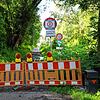 Wollmatinger Ried