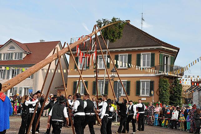 Bild 1: Beste Einblicke zum Narrenbaumsetzen in Markdorf – so feiert die Stadt!