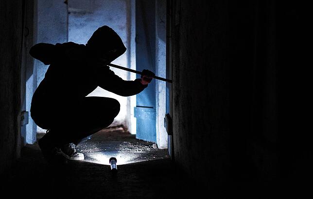 Die Kantonspolizei Thurgau hat in der Nacht auf Freitag zwei Einbrecher in Tägerwilen auf frischer Tat ertappt.