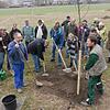 Startschuss für das Urban-Gardening: Unter Anleitung von Gärtnermeister Joachim Schlageter (vorn) pflanzten (von links) Karsten ...