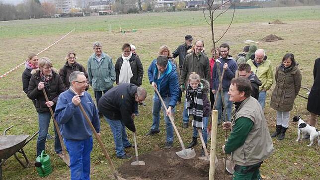 Startschuss für das Urban-Gardening: Unter Anleitung von Gärtnermeister Joachim Schlageter (vorn) pflanzten (von links) Karsten ...