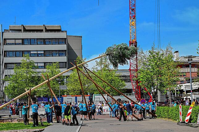 Die Landjugend Brigach stellt den Maibaum auf – hier im Jahr 2024.