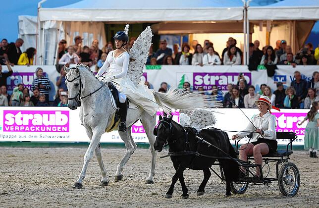 Bild 5: Zwischen Adrenalin und Tradition: Der spektakuläre Showabend beim Fest der Pferde auf den Immenhöfen