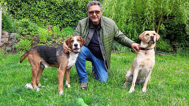 Joachim Kaluza hat seinen Pflegehund Luis (links) und seinen Adoptivhund Gino (rechts) über den Verein Herzenshunde Griechenland ...