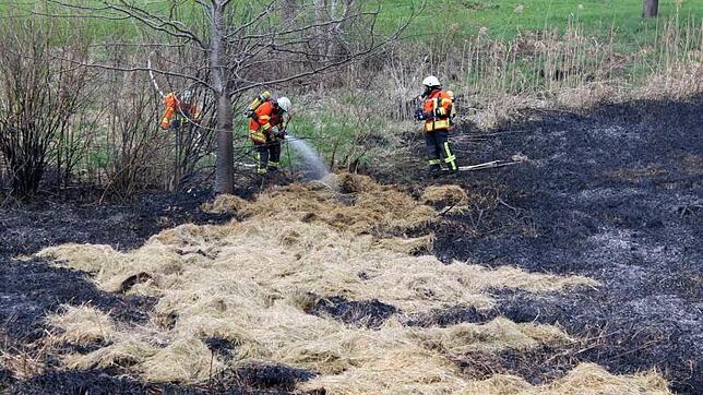 Einen Flächenbrand bei Fützen unterhalb des alten Hochbehälters löschte gestern die Feuerwehr Blumberg. Bild: Reiner Baltzer