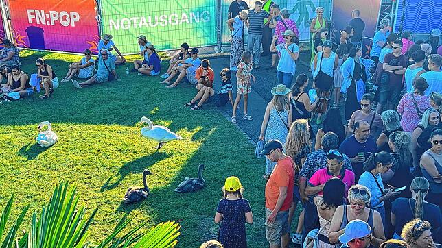 Bild 7: Alvaro Soler in Friedrichshafen: Konzert begeistert Besucher am Seeufer (Teil 1)