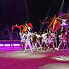 Der Circus Krone bietet ein abwechslungsreiches Programm für die Besucher an. Höhepunkt der Vorstellungen sind die Raubtierdarbietungen ...
