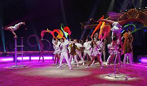 Der Circus Krone bietet ein abwechslungsreiches Programm für die Besucher an. Höhepunkt der Vorstellungen sind die Raubtierdarbietungen ...