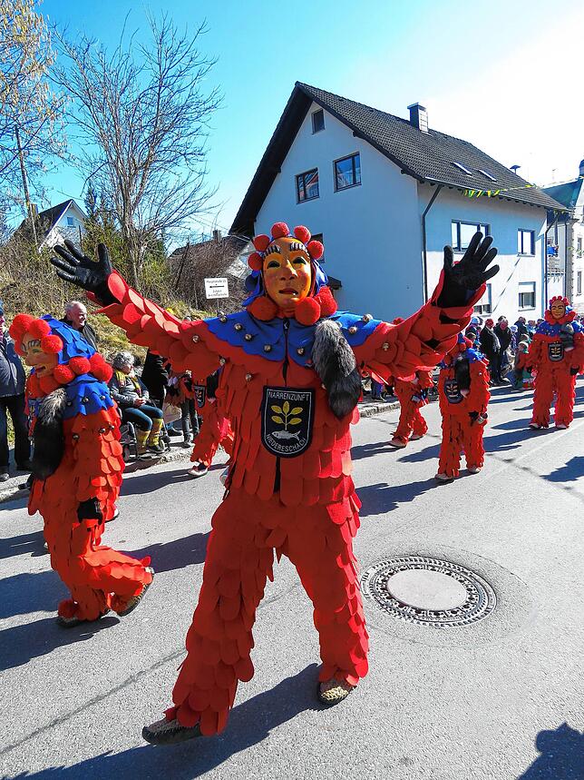 Bild 29: So schön war der Brigachtaler Umzug 2025