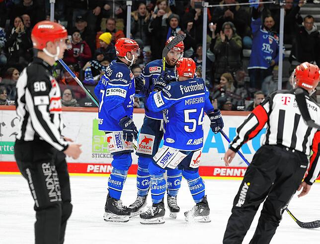 Die Wild Wings befinden sich zu Beginn des Jahres auf Playoff-Kurs.