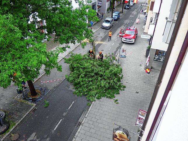 Nach dem kurzen, aber heftigen Unwetter am 29. Juni musste die Markdorfer Feuerwehr in einer Spontanaktion am Nachmittag einen Baum in ...