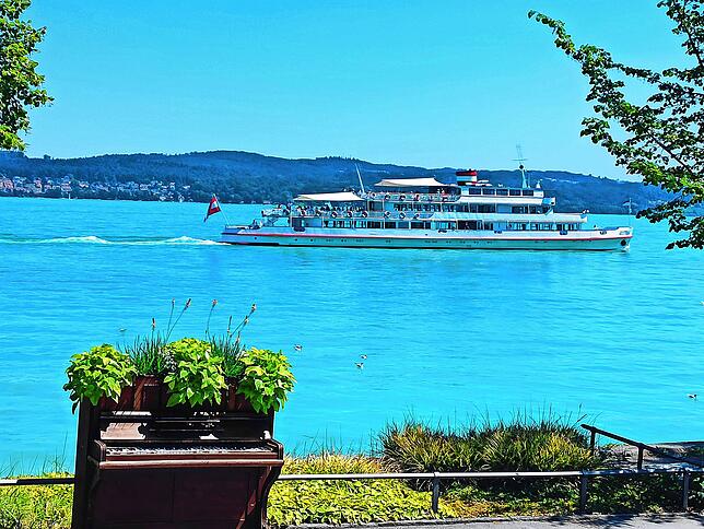 Bild 4: Danke, Kieselalge! Noch mehr Fotos vom farbenfrohen See
