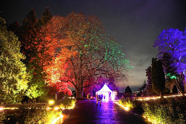 Bild 3: Insel Mainau: Bilder vom Start des Christmas Garden 2023 - Teil 1