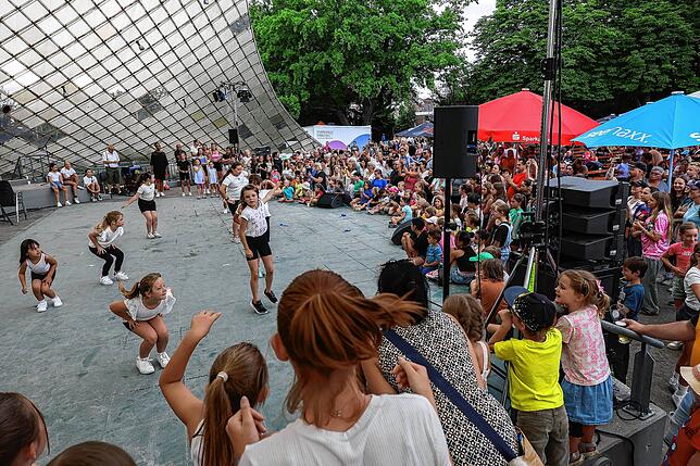 Bild 2: Hausherrenfest Kulturprogramm am Radolfzeller Uferbereich! – Hier die schönsten Einblicke!