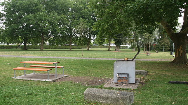 Die Liegewiese und der Grillplatz östlich des Yachtclubs gehören zu den Orten in Radolfzell, wo die Verwaltung einen kommunalen ...