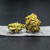 (Symbolbild) So sieht eine Cannabisblüte aus. Das Harz der Pflanze wird als Haschisch bezeichnet.