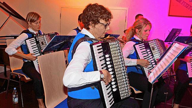 Ebenfalls in der Kreisvereinigung: Der Handharmonikaclub Edelweiß Rohrbach erfreut immer wieder bei Konzerten in der Region. Archivfoto: ...