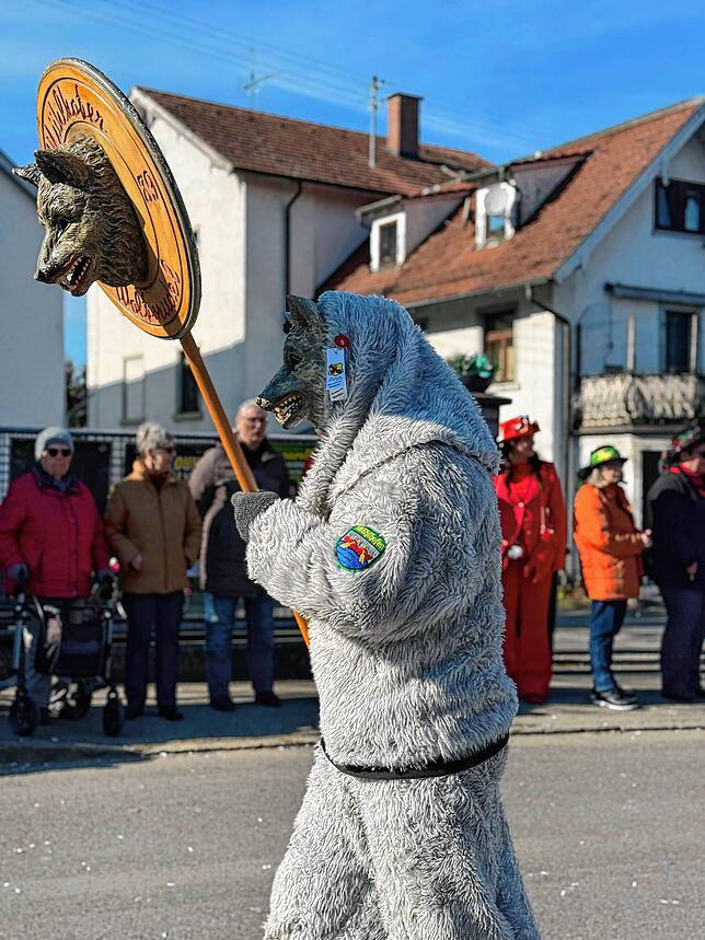Bild 19: Fasnacht 2025: Alle Bilder vom Gemeinschaftsumzug in Mühlhofen