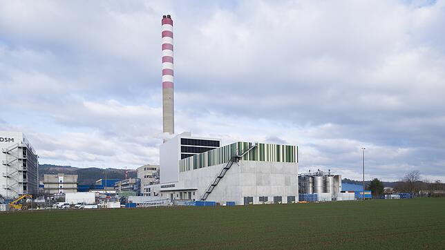 Das neue Holzheizkraftwerk soll Energie für die ansässigen Industriebetriebe liefern. Es kann auch Strom für 17500 Haushalte produzieren.
