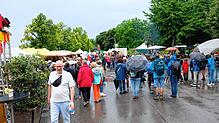 Bild : Die besten Bilder vom Kulturufer in Friedrichshafen - Teil 2