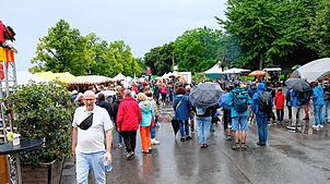 Bild : Reges Treiben beim Kulturufer in Friedrichshafen