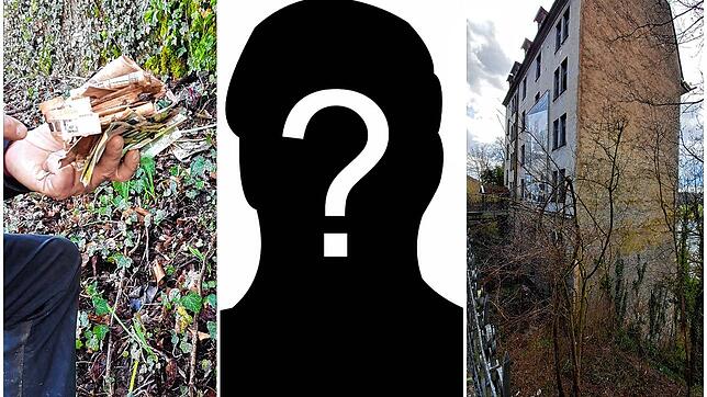 Mysteriöser Geldfund: Arbeiter finden im Frühjahr 2023 auf dem Gelände beim Rheinschloss an der B34 in Waldshut rund 10.000 Euro. Wem ...