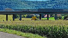 Am Montag, 22. September, sollen auf der Bundesstraße 34 in Klettgau Sanierungsarbeiten beginnen. Im Anschluss an die Fahrbahnsanierung ...
