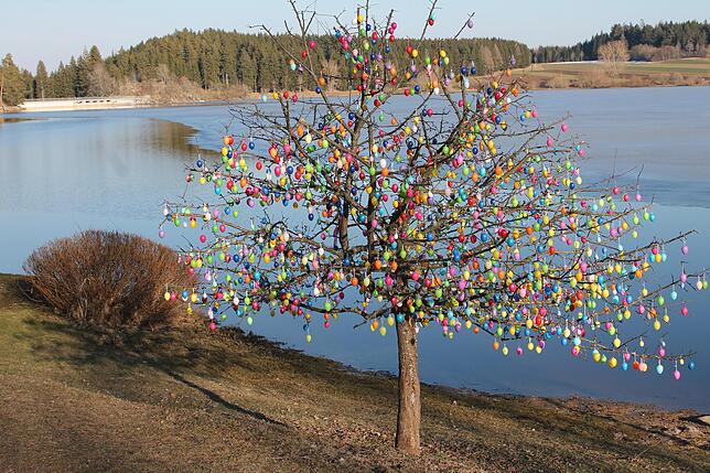 Da war die Welt noch in Ordnung: Ganze Herscharen von Spaziergängern bestaunten 2018 den stolzen Osterbaum.