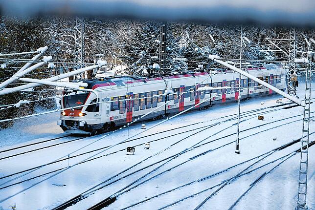 Bild 16: Wintereinbruch in Radolfzell: Die schönsten Bilder vom ersten Schnee