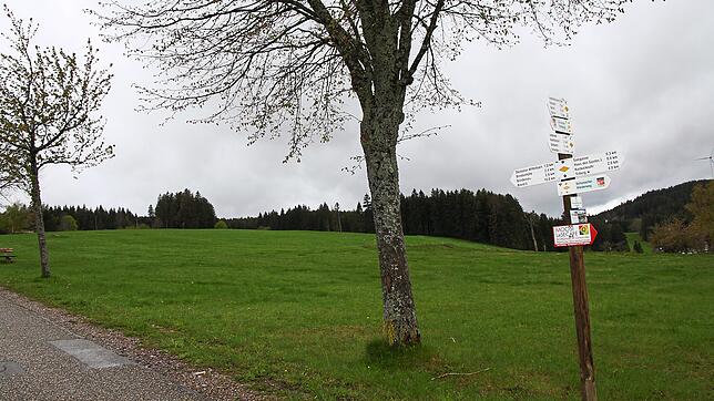 Am Schonacher Höfleberg soll ein neues Baugebiet oberhalb der Schillerstraße entstehen.