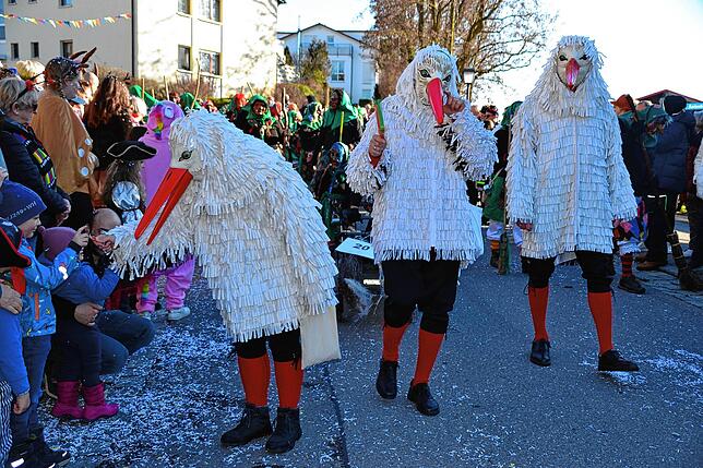 Bild 11: Bilder vom Narrenbaumsetzen mit vorangegangenem Umzug in Daisendorf