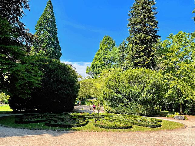 2022: Die Bäume sind – soweit sie nicht erkrankt waren – im alten Stadtpark stehengeblieben. Insgesamt wirkt der Park sehr ...