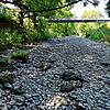 Kein Weg sondern die Breg: In Hüfingen beim Römerbad in Höhe des Römerbadstegs (rechts hinten) ist der Fluss komplett ausgetrocknet.