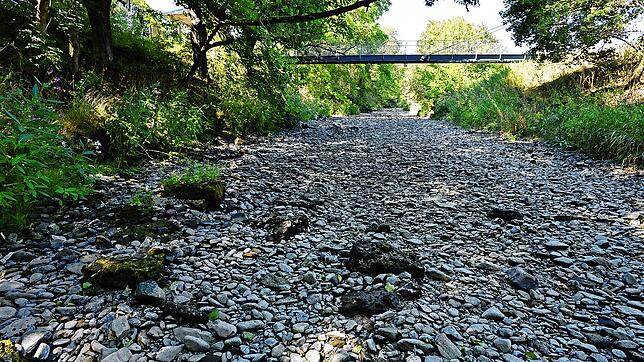 Kein Weg sondern die Breg: In Hüfingen beim Römerbad in Höhe des Römerbadstegs (rechts hinten) ist der Fluss komplett ausgetrocknet.
