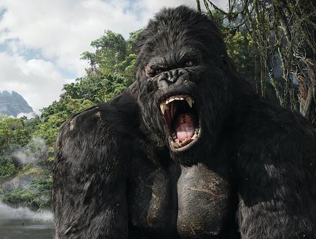 King Kong lebt eigentlich auf einer Insel, die weit von jeglicher Zivilisation liegt. Deshalb steht der riesige Affe für die Gefahren in ...