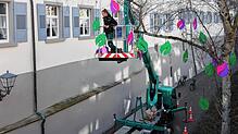 Die ersten von Kindern bemalten Blätter schmücken die Birken im Stadtgraben. Sie sollen den Rundweg zu den Ausstellungsflächen weisen.