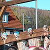 Bild :