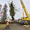Bild :