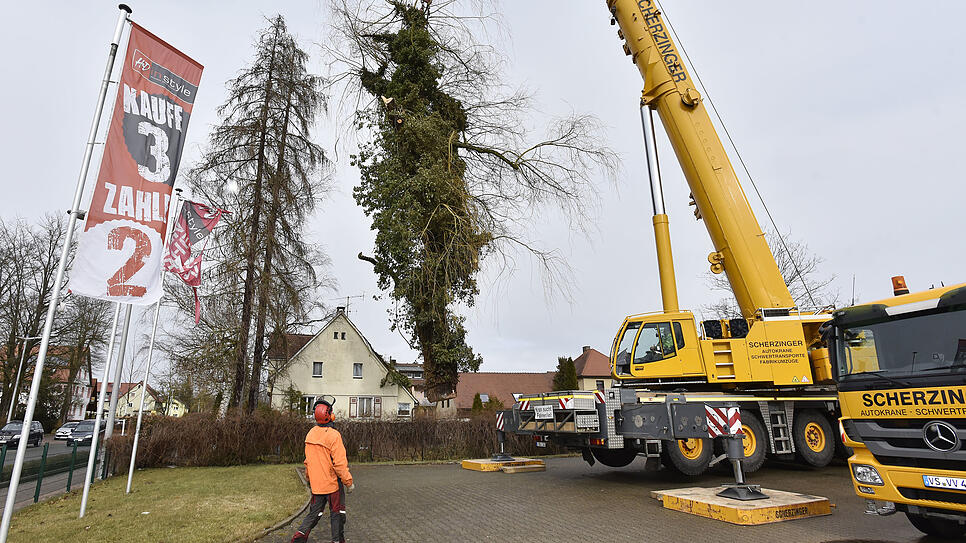 Bild : Den Baum am Haken: In Haus gekrachter Baum in der Donaueschinger Straße wird mit dem großem Kran entfernt