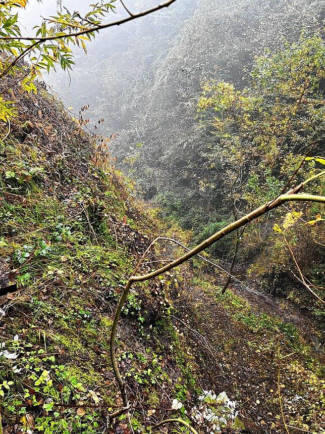 Eine freigeschnittene neue Stegtrasse. Der rote Pflock in der Bildmitte kennzeichnet den Verlauf des künftigen Steges.