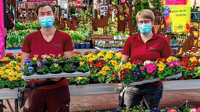 Hier lockt der Frühling: Hildegard Müller (links) und Anja Schleicher bereiten in Weißers Floraparadies in Schabenhausen alles für die ...