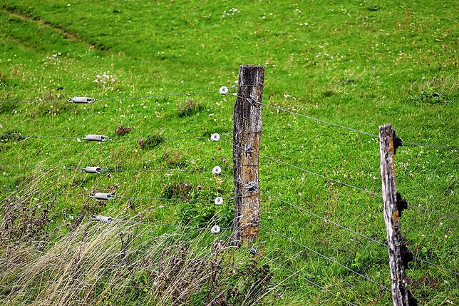Der Zaun an der Domäne Hohentwiel ist 1,20 Meter hoch und elektrisiert.