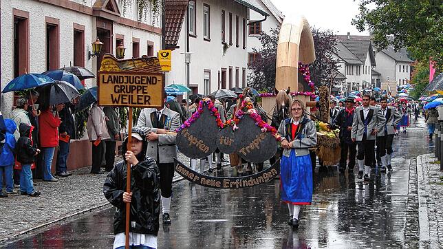 Bei strömendem Regen ziehen 17 Landjugendgruppen und mehrere Musikkapellen beim großen Umzug anlässlich des Kreiserntedankfests im Jahr ...