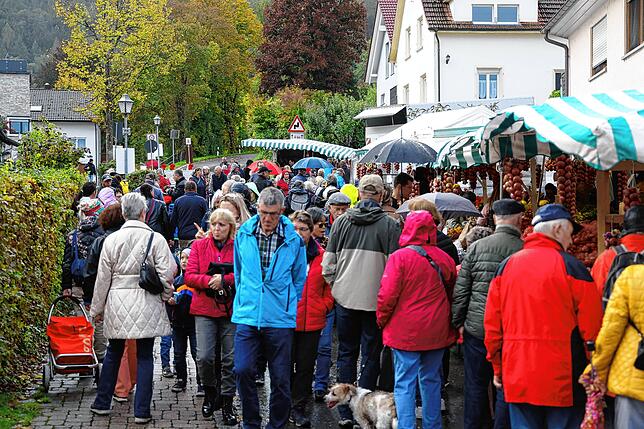 Bild 10: Bilder vom Büllefest in Moos