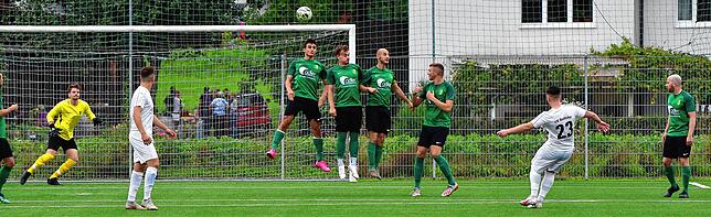 Bild 14: SV Herten besiegt den VfB Waldshut mit 3:0 &ndash; und wir haben die Bilder!